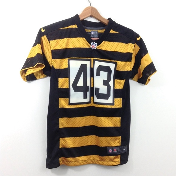 Nike Other - Nike Polamalu Steelers Stripe Throwback Jersey